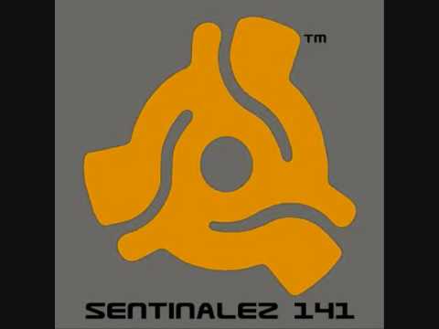 The Sentinels - Awe was the Law