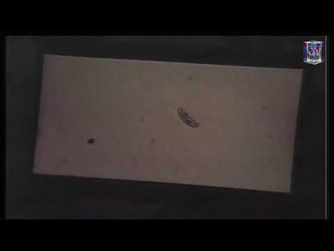 Manu Louis LIVE - Heads Radio 164 – 26.02.25