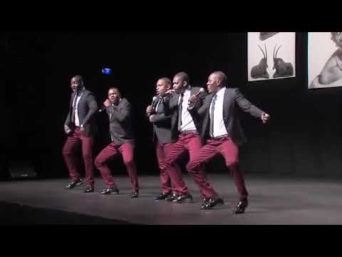 OS Tunezas  Ao Vivo No Coliseu De Lisboa 2015  Viver é Recordar