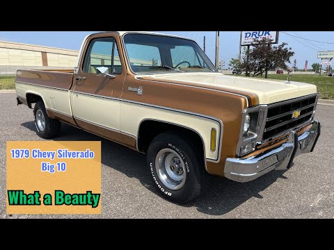 1979 Chevrolet Silverado (CC-1742658) for sale in Ramsey, Minnesota