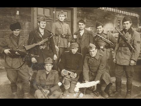 Il ruolo della Jugoslavia durante la Seconda Guerra Mondiale #storia #secondaguerramondiale