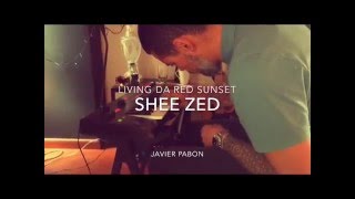 Making the Synth Bass for RED SUNSET (SHEEZED)