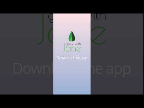Grow with Jane - Cannabis plan video