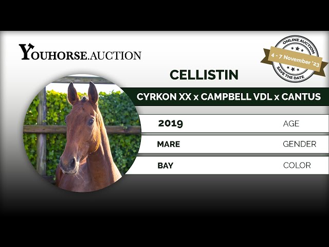 Cellestin