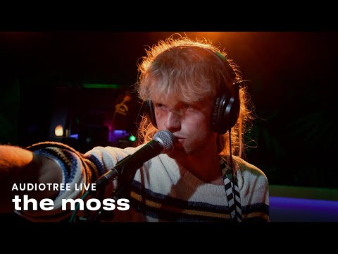 the moss - Celebrate | Audiotree Live