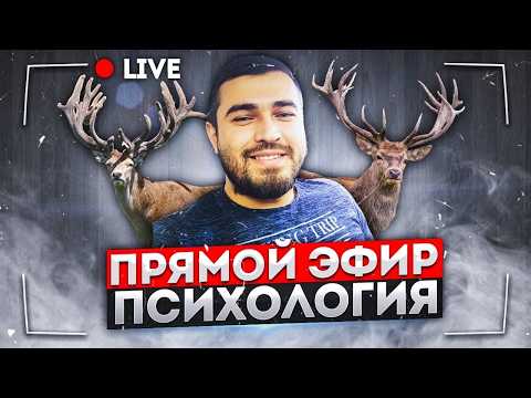 Прямой Эфир | 25.10.2026