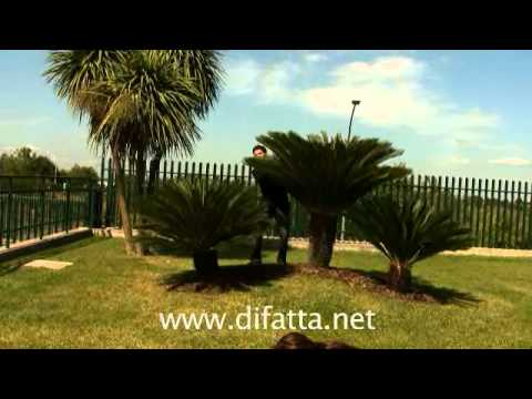 Sleeve Bouquet 24 Flowers (Deluxe)