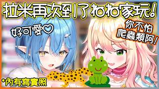 Nene這次為菈米介紹了牠家的爬蟲類朋友！【桃鈴ねね/雪花ラミィ/hololive】【Vtuber遜炮中翻】