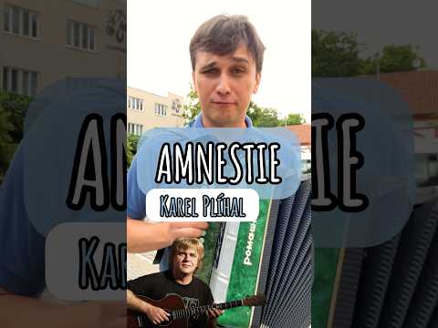 Karel Plíhal - Amnestie (cover) Pavel Mucha #harmonika #hudba #akordeon #cover #garmon #harmonikar