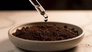 Google Veo 3 Fast Sample Video - AI Ember Forest Bloom ASMR