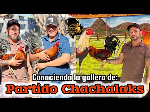 We visited Adam's ship, "the Chore"