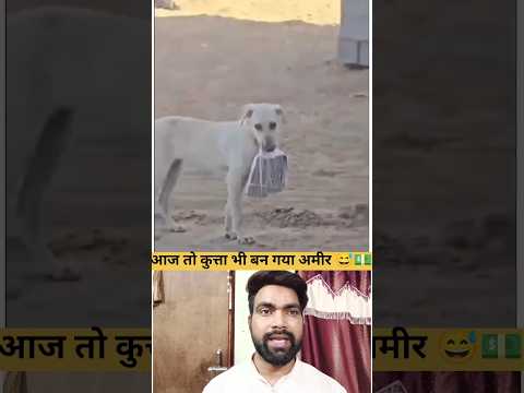 जब 6 महीने की कमाई ले गया कुत्ता उठाकर 😳 | #ViralStory #EmotionalVideo #6MahineKiKamai