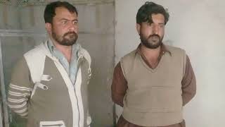 kabootar||pigeon||of||zindagi||khan||at||kahna||ful||islamabad