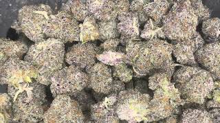 Oreo Runtz Strain