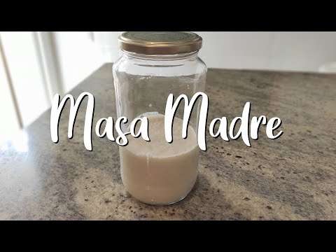 Cómo hacer MASA MADRE para PIZZA, PAN CASERO, BRIOCHE, ROSCÓN… 🥖🍕😋