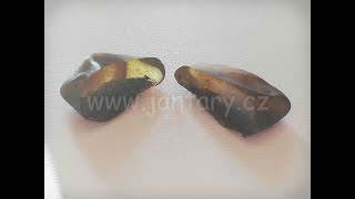 Okno do baltského jantaru PO-53