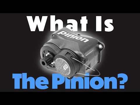 Is This the Best Gearing for Trikes? - Pinion Gearbox - Utah Trikes