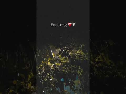 Dhadkan Hai Kahin Dil Hai Kahi|Full Screen WhatsApp Status|Love Status |Girl Status