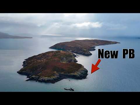 Massive Fish in the Summer Isles, Ullapool