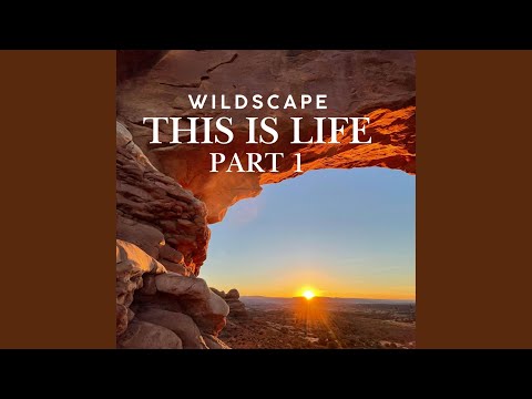 this is life (outro)