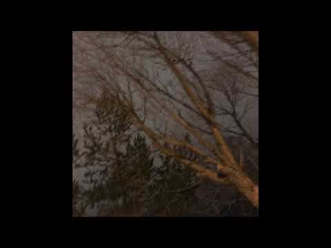 125. Vegard - Av [Of] [23.03.2019]