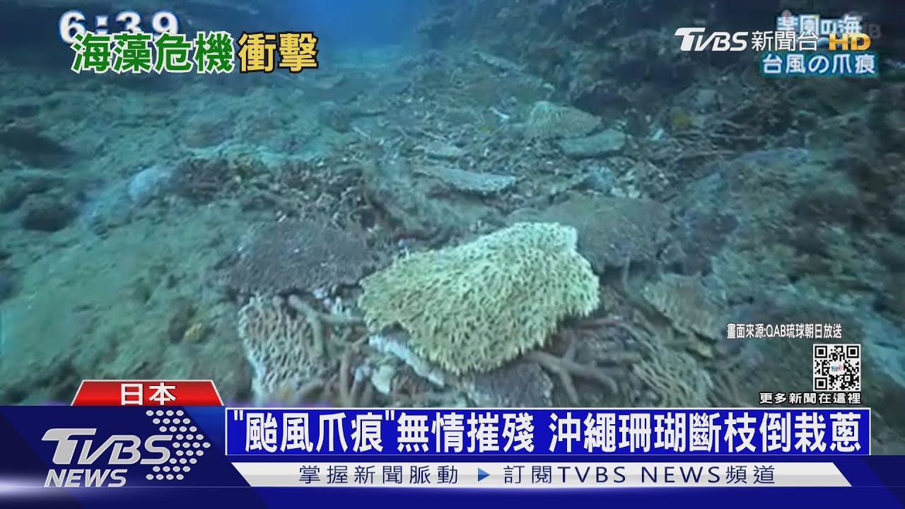 劇烈颶風伸利爪 「全球第三大」美大堡礁生態告急