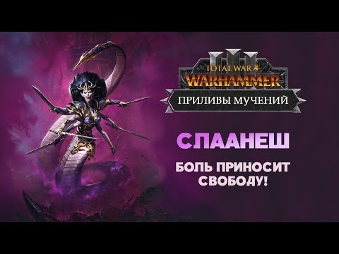 Слаанеш. Разбор фракций Tides of Torment