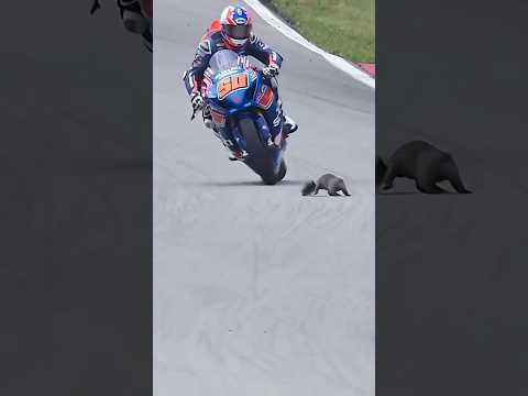 Passionate Moment #motogp #rider #unstoppable #shorts #fyp #sports #motorcycle