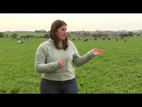 Cosecharás lo que siembras | 📢 Sol Jorcín