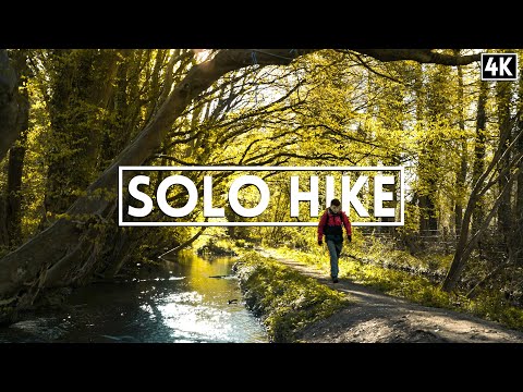 Solo Hiking 12 Miles along the Chess Valley - a Beautiful English River (4k)