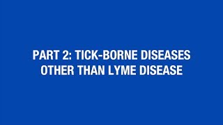 Tick-Borne Diseases Other Than Lyme Disease