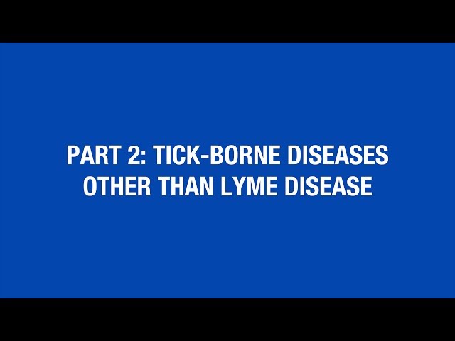 Video Pronunciation of babesiosis in English