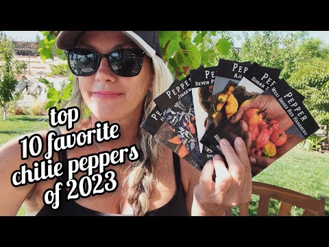 🌶️🔥our Top 10 favorite chilie pepper varieties of 2023🔥 #southerncaliforniagardening #peppers