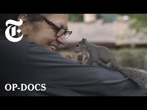 How A Woman Raised An Abandoned Squirrel And Nursed It Back Into The Wild