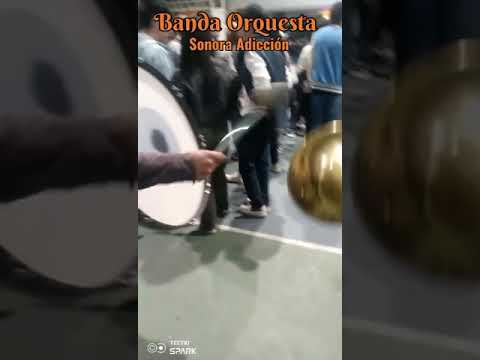 Banda Orquesta Sonora Adicción Salcedo-Cotopaxi-Ecuador cel:0998698887-0987464178