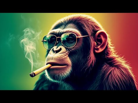 🌴 MASSIVE Dub Reggae Mix 🌴 Monkey Session