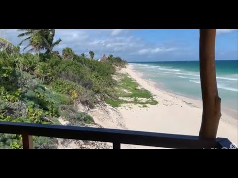 Casa Gori, paradise in Tulum