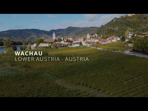 Wachau Valley - Austria’s Most Beautiful Wine Region