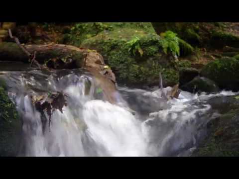 OFFICINA77 - Valle del Treja | Monte Gelato