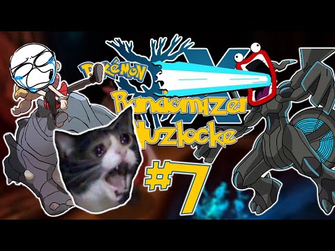 Pokemon X Randomizer Nuzlock | Part 7| Ankunft in Petrophia und ritt Rihorn