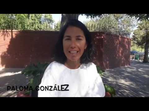 ¿Por qué introducir la música en la sala de clases?