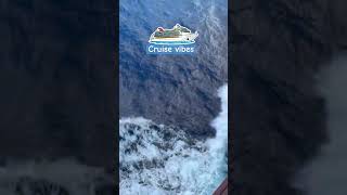 Freedom of the Seas #trending #cruisetour #foodie #travel #viral #vlog