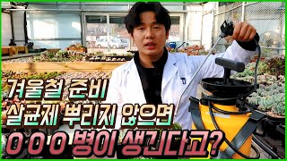 다육이에게 겨울철 살균제를 뿌리지 않으면 곰팡이가?? - 겨울철 살균제 뿌려주세요!(Succulent win…