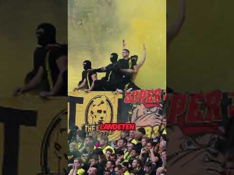 Wie 200 BVB-Ultras den Schalker Auswärtsblock stürmten!⚡️ #bvb #ultras #borussiadortmund