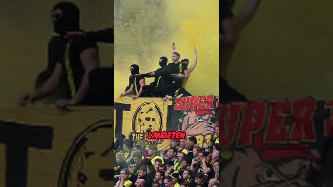 Wie 200 BVB-Ultras den Schalker Auswärtsblock stürmten!⚡️ #bvb #ultras #borussiadortmund