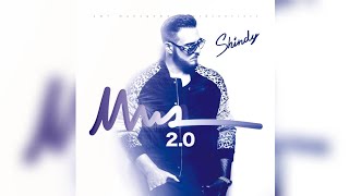 Shindy - Stress mit Grund (feat. Bushido &amp; Haftbefehl)