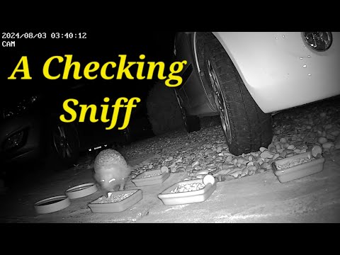 A Checking Sniff
