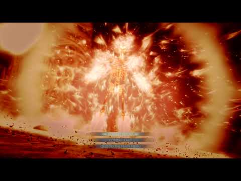 WOW Kumite world record.