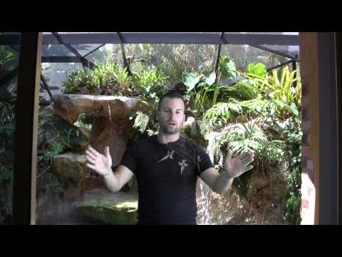 Blending a Pool Screen Cage with Natural Rock