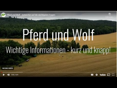 Pferd und Wolf - Antworten auf die wichtigsten Fragen